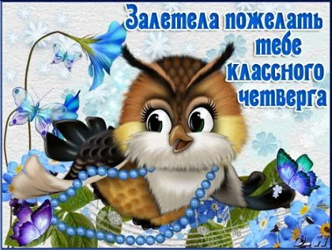 Открытка Четверг - Открытка с совой и голубями  Праздничная поздравительная | Красивая открытка #54