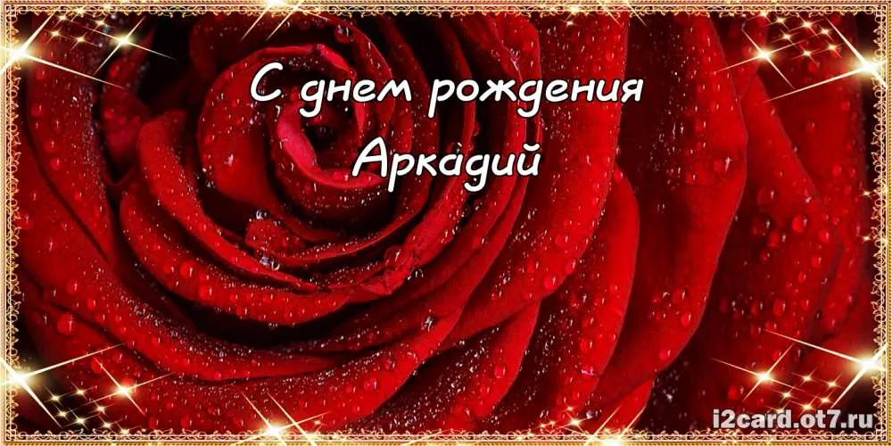 Открытка открытки с именем Аркадий  - Алая роза: открытка с днем рождения | Красивая открытка #70