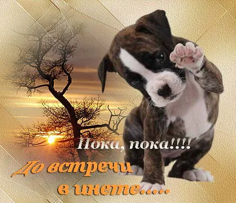 Открытка Прощания - Открытка с щенком на закате: милый подарок | Красивая открытка #10