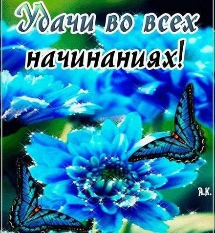 Открытка С пожеланиями удачи - Голубые цветы с бабочками - поздравительная открытка | Красивая открытка #14