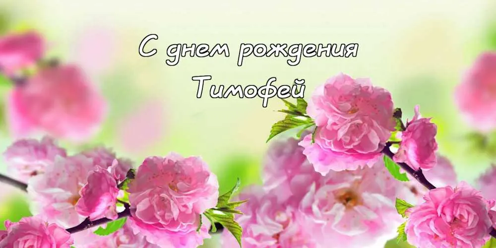 Открытка Открытки с именем Тимофей - Открытка с цветущей сакурой: нежный букет для тебя | Красивая открытка #181