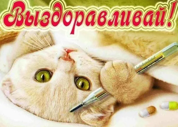 Открытка Выздоравливай - Котенок с градусником и таблетками. Открытка | Красивая открытка #62