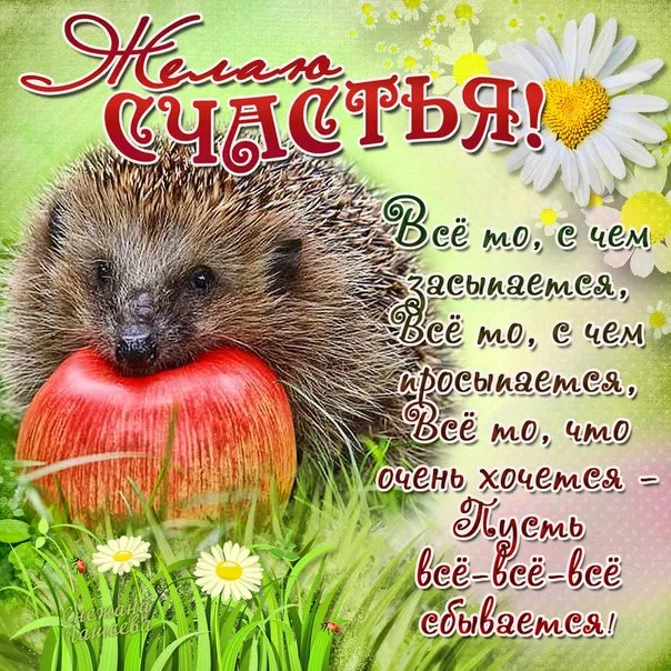 Открытка День счастья - Еж с цветами: открытка с днем рождения | Красивая открытка #17