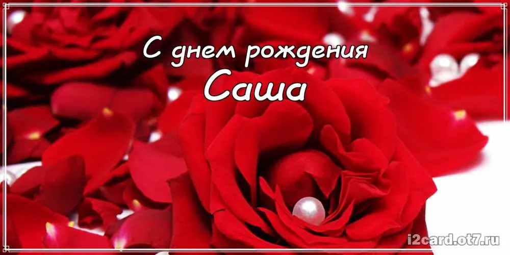 Открытка открытки с именем Александр - Открытка с красными розами и жемчугом | Красивая открытка #290
