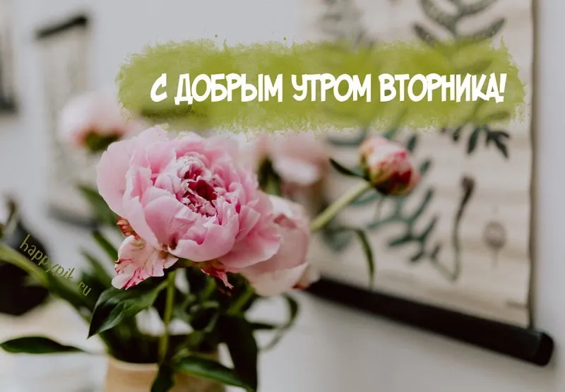 Открытка Открытки на вторник - Розовые пионы в вазе: открытка с добрым утром | Красивая открытка #163
