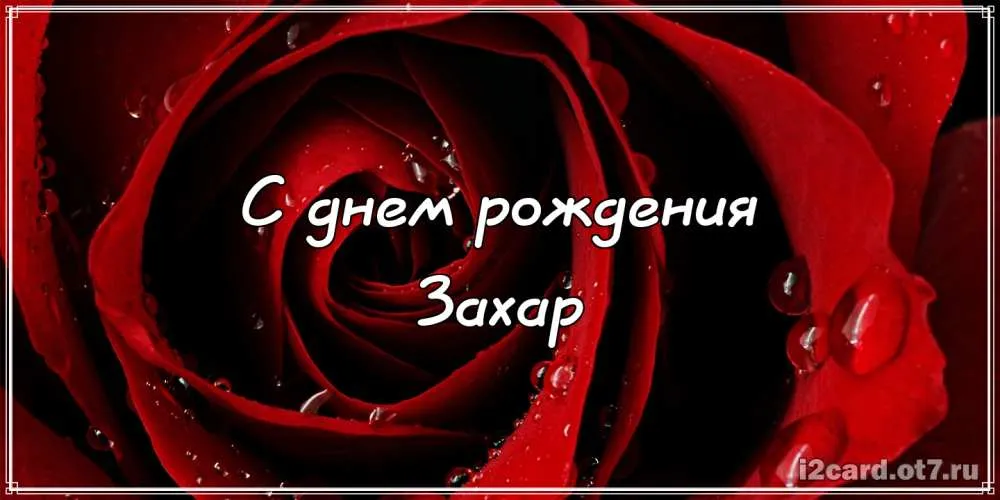 Открытка открытки с именем Захар - Открытка с красной розой: поздравления с днем рождения | Красивая открытка #128