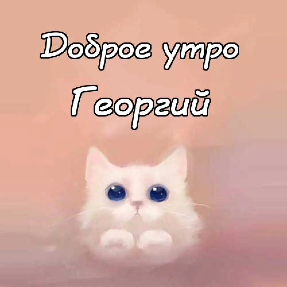Открытка открытки с именем Георгий  - Белый котенок: открытка с милым котенком | Красивая открытка #55