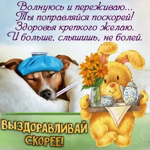 Открытка Скорейшего выздоровления - Открытка с милой собачкой и мишкой с чаем | Красивая открытка #14
