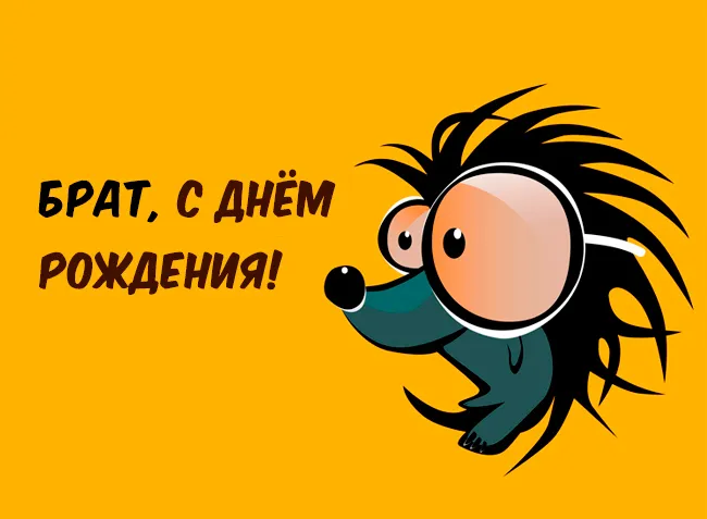 Открытка С днём рождения брат! - Забавный ёж с днем рождения - открытка | Красивая открытка #3