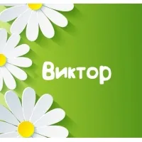 Открытка открытки с именем Виктор - Открытка с ромашками — купить онлайн | Красивая открытка #272