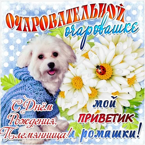 Открытка С днем рождения племяннице - Открытка с щенком: С Днем Рождения! | Красивая открытка #9