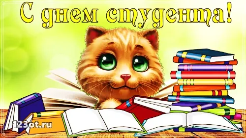 Открытка открытки на день студента  - Открытка с котенком и книгами | Красивая открытка #69