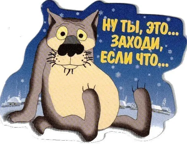 Открытка Прикольные пожелания - Открытка с серым котом на фоне снега | Красивая открытка #14