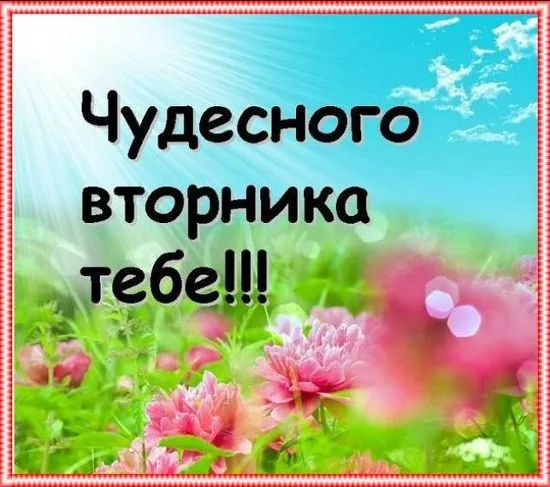 Открытка Дни недели - Открытка с цветами и бабочками | Красивая открытка #11