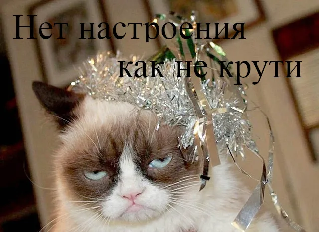 Открытка нет настроения - Злой кот с мишурой: смешная новогодняя открытка | Красивая открытка #6
