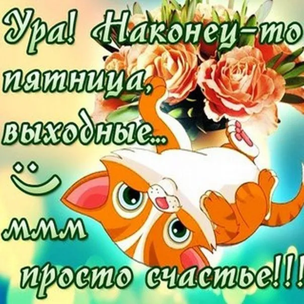 Открытка Хорошей пятницы - Открытка с котенком и розами | Красивая открытка #39