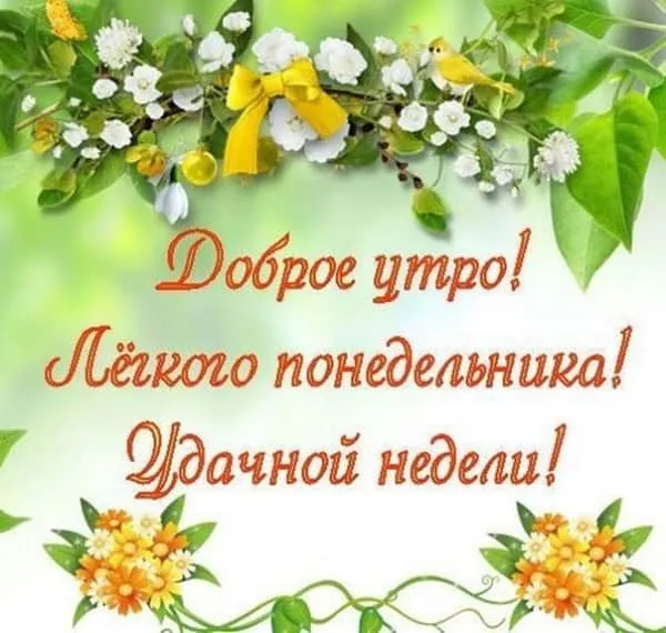 Открытка Недели - Открытка с цветами: "Доброе утро! Легкое понедельника!" | Красивая открытка #31