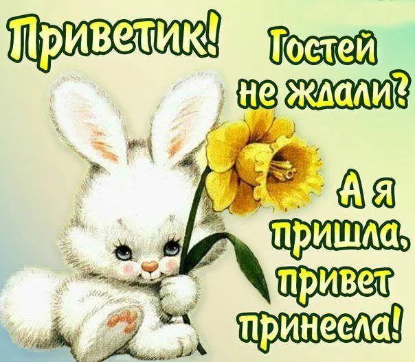 Открытка Привет - Открытка с зайчиком и одуванчиком | Красивая открытка #45