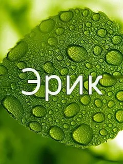 Открытка Открытки с именем Эрик - Лист с каплями росы: открытка с природой | Красивая открытка #134