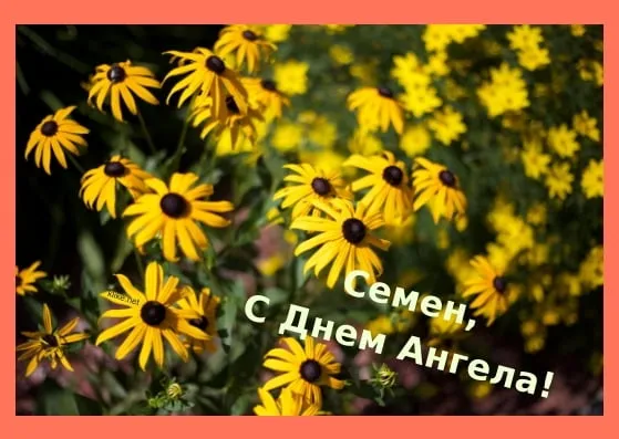 Открытка Открытки с именем Семен - Полевые цветы: открытка с днем ангела | Красивая открытка #153