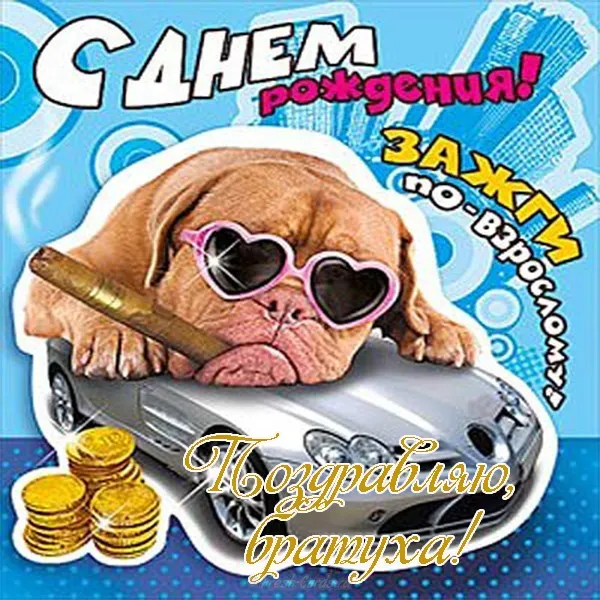 Открытка С днём рождения брат! - Открытка с пёсиком в шляпе и очками | Красивая открытка #7