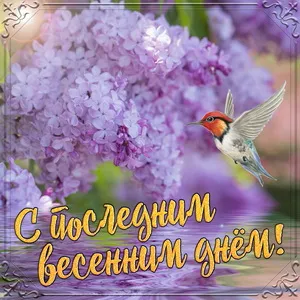 Открытка С последним днем лета! - Открытка: С Днем Голубей! Нежные фиалки и птица | Красивая открытка #36