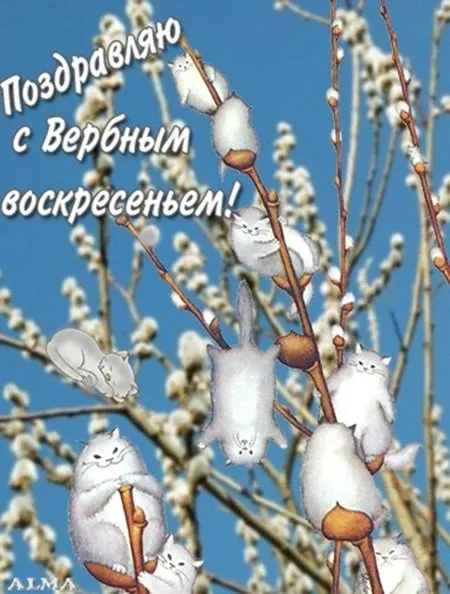 Открытка С вербным воскресеньем - Котики на цветущей ветке: открытка с милыми котятами | Красивая открытка #69
