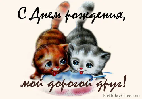 Открытка С днем рождения для друга - Две милые котяшки на открытке  BirthdayCards.su | Красивая открытка #31