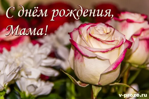 Открытка С Днем Рождения мамочке! - Открытка с розовыми и белыми розами | Красивая открытка #59