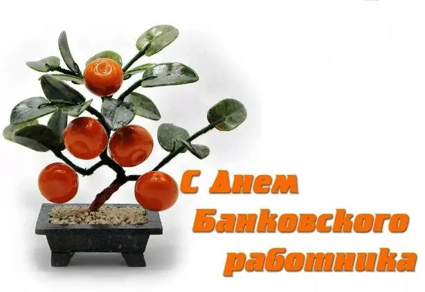 Открытка День банковского работника - Открытка с изображением цитрусового дерева в горшке | Красивая открытка #26