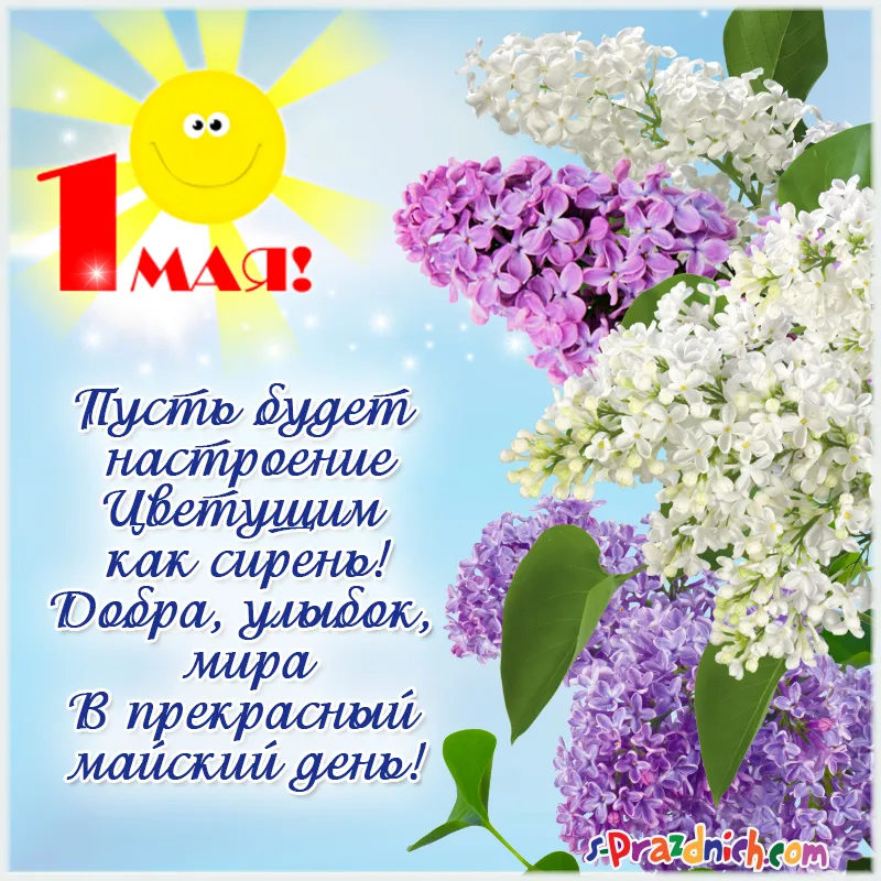 Открытка 1 мая - Поздравления с 1 мая! Красивые открытки с сиренью | Красивая открытка #229