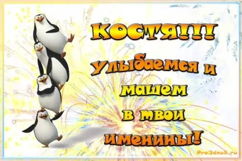 Открытка Открытки с именем Константин  - Открытка с пингвинами на день рождения | Красивая открытка #210