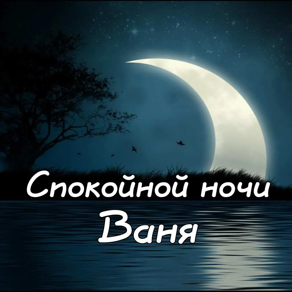 Открытка открытки с именем Иван - Ночная открытка: луна, озеро, деревья | Красивая открытка #150
