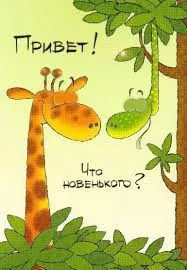 Открытка Привет - Открытка с жирафом и змейкой | Красивая открытка #247