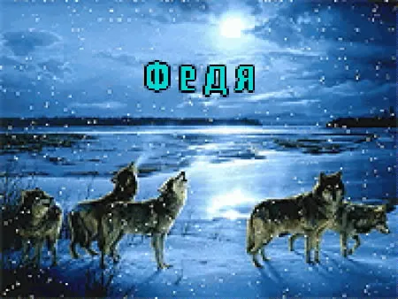 Открытка Открытки с именем Федор - Волки на лунной ночи: открытка с волками | Красивая открытка #227