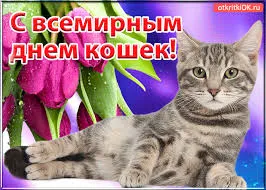 Открытка Открытки с днем кошек - Открытка с котом и тюльпанами | Красивая открытка #19
