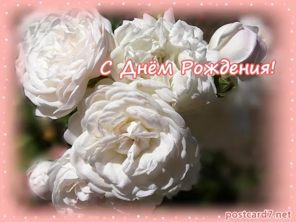 Открытка С белыми розами - Открытка с белыми розами: С Днём рождения! | Красивая открытка #7