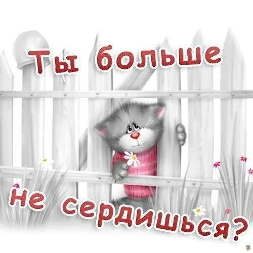 Открытка открытки с извинениями  - Открытка с милым котенком за забором | Красивая открытка #173