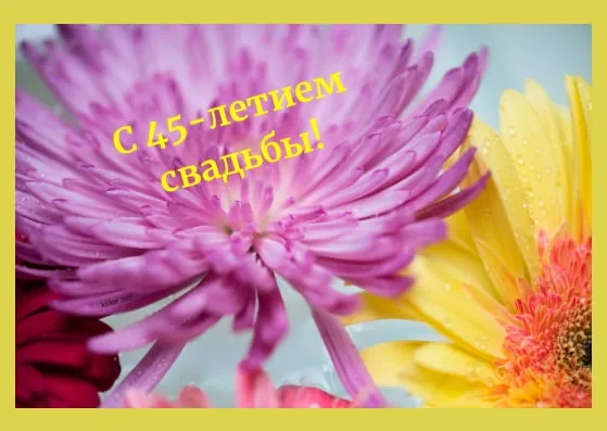 Открытка Открытки на Сапфировую свадьбу 45 лет - Розовые цветы, капли росы, нежные оттенки | Красивая открытка #45