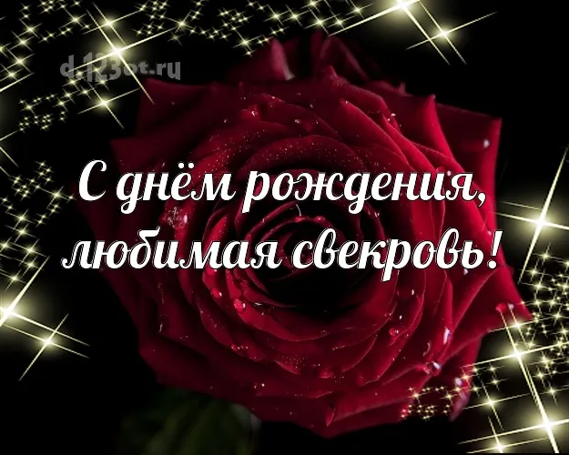 Открытка С днем рождения свекровь - Открытка с красной розой и надписью "С днем рождения" | Красивая открытка #51