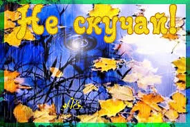 Открытка Открытки не скучай - Осенние листья на воде: открытка с яркими красками | Красивая открытка #3