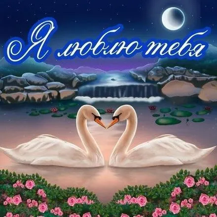 Открытка Люблю тебя - Открытка с лебедями на озере: нежные розы и лунный свет | Красивая открытка #65