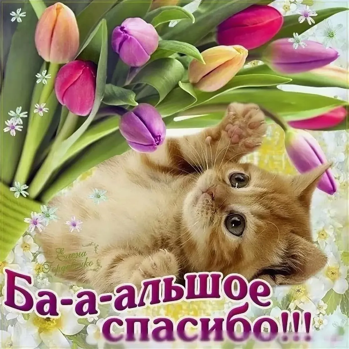 Открытка Спасибо - Котик с цветами: милая открытка с котенком | Красивая открытка #123