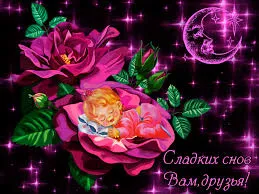Открытка Открытки с пожеланиями на ночь - Открытка: Спящий младенец в цветке | Красивая открытка #185