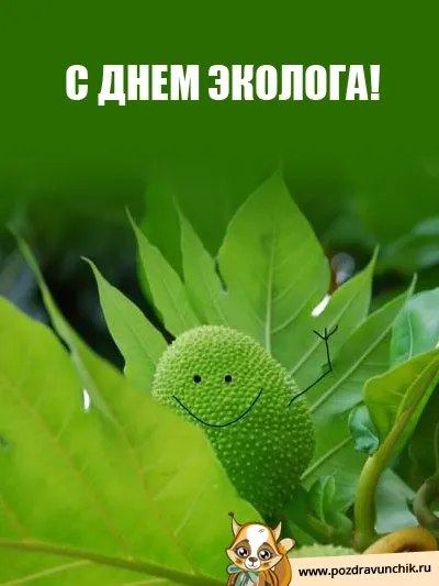 Открытка День эколога - Открытка с милым авокадо на природе | Красивая открытка #15