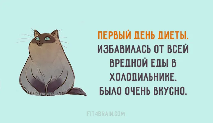 Открытка 	Картинки про диеты	 - Открытка с котом: Новый год без вредной еды | Красивая открытка #7