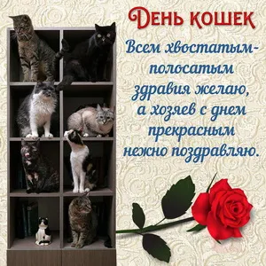 Открытка С Всемирным днём кошек - Открытка с котиками и розой | Красивая открытка #16