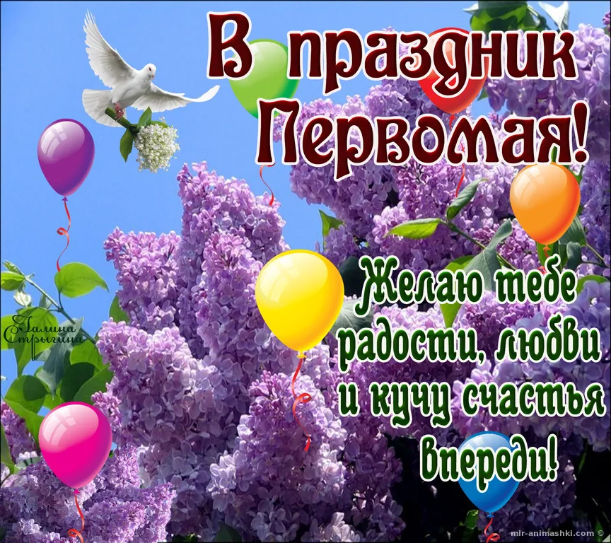 Открытка 1 мая - Желаю радости, любви и счастья! | Красивая открытка #216