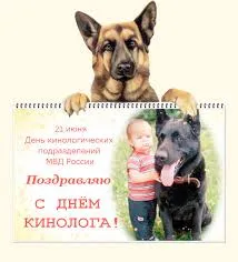 Открытка Открытки с днем кинолога - Поздравление с Днём немецкой овчарки: фото с ребёнком | Красивая открытка #37