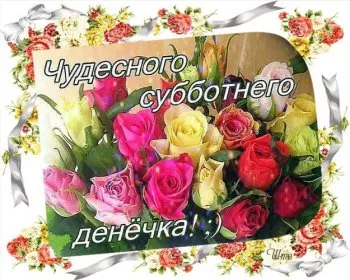Открытка Открытки на субботу - Открытка с розами: нежные цветы для Вас | Красивая открытка #198